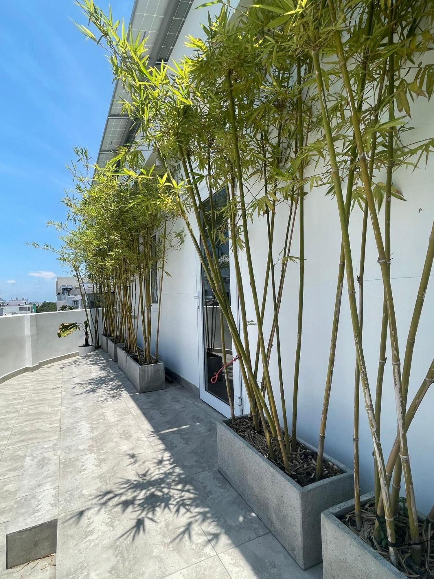 The Ck Hotel Chau Doc Luaran gambar